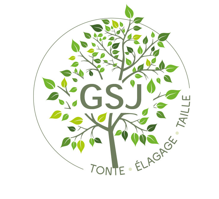logo GSJ